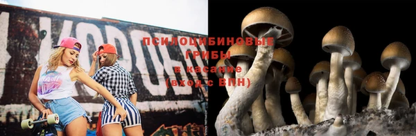 шишки Володарск