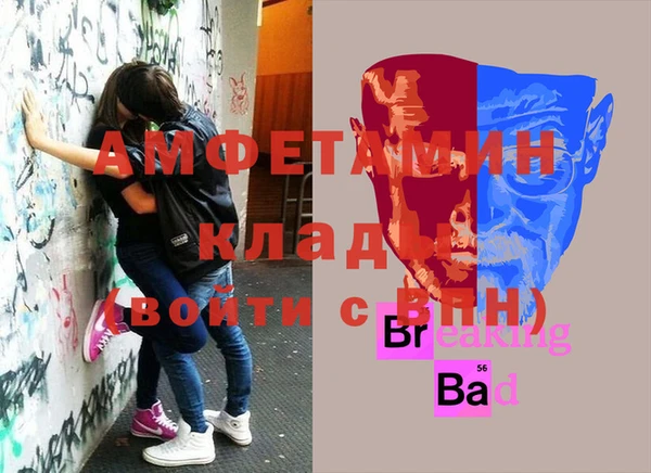 шишки Володарск