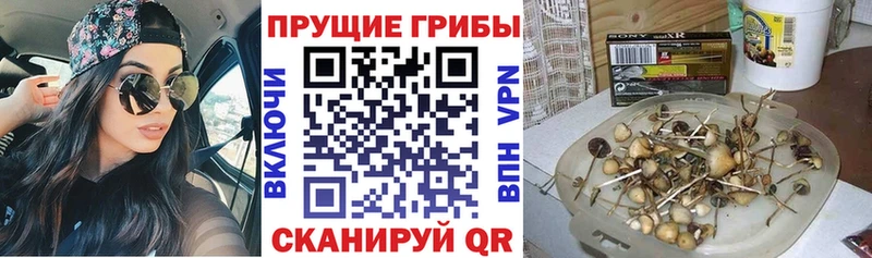 Галлюциногенные грибы мухоморы  Людиново 
